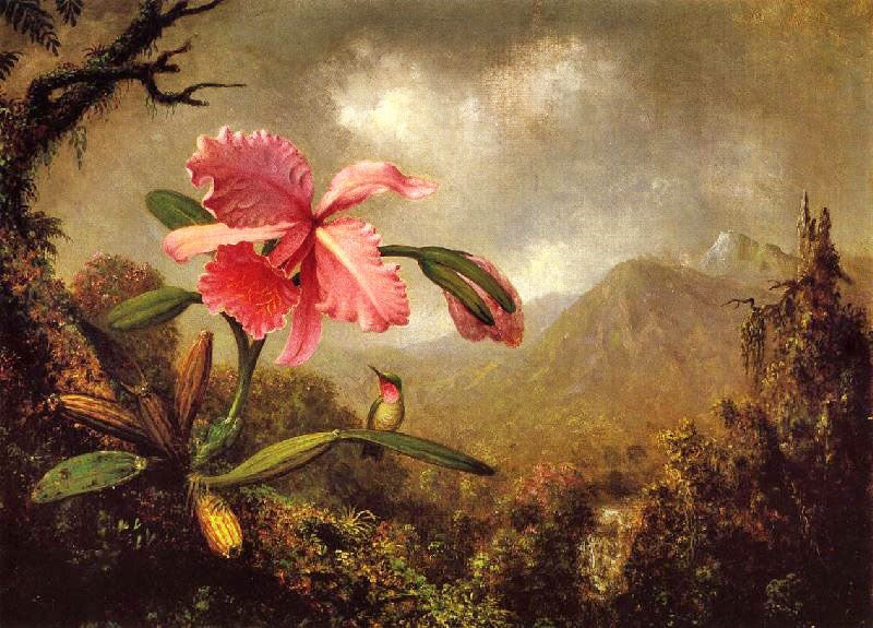 Orchid And Hummingbird Near A Mountain Waterfall by Martin Johnson Heade