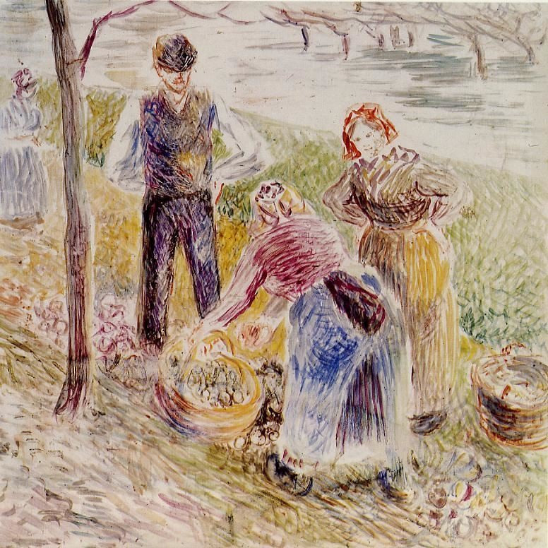 HARVESTING POTATOS