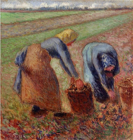 Potato Harvest by Camille Pissarro