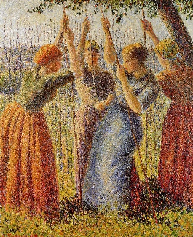 PEASANTS PLANTING PEA STICKS