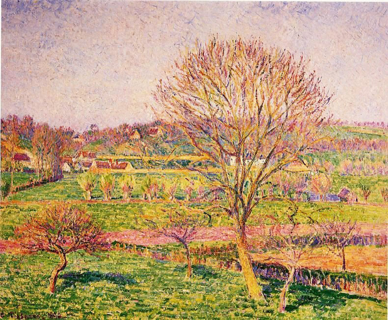 BIG WALNUT TREE AT ERAGNY