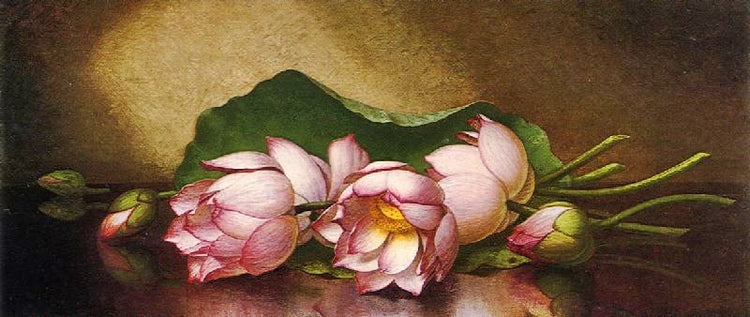 Egyptian Lotus Blossom by Martin Johnson Heade