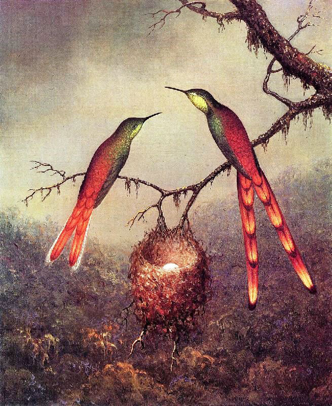 Two Hummingbirds Garding An Egg by Martin Johnson Heade