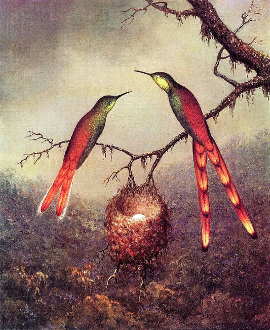 Two Hummingbirds Garding An Egg by Martin Johnson Heade