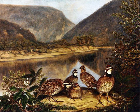 Five Bobwhites At The Delaware Water Gap by Titian Ramsey Peale II