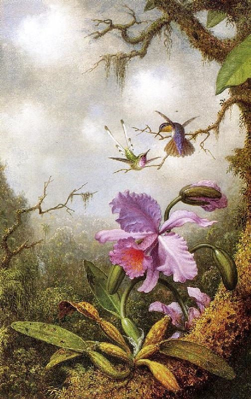 Two Hummingbirds And A Pink Orchid by Martin Johnson Heade