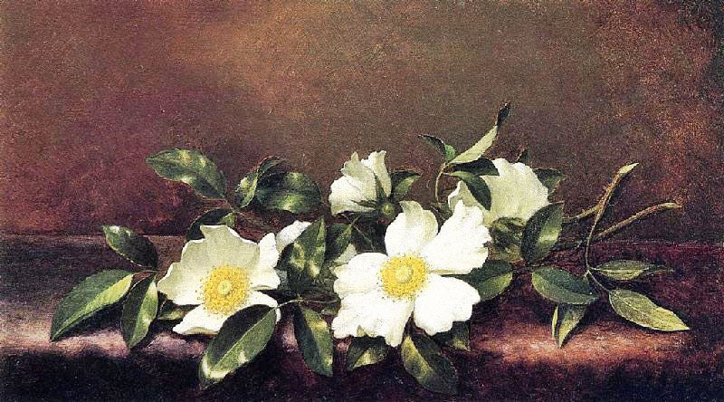 CHEROKEE ROSES ON A PURPLE CLOTH