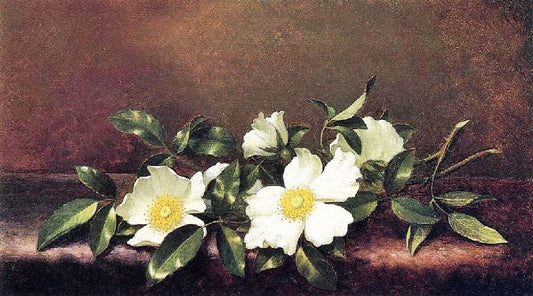 Cherokee Roses On A Purple Cloth by Martin Johnson Heade