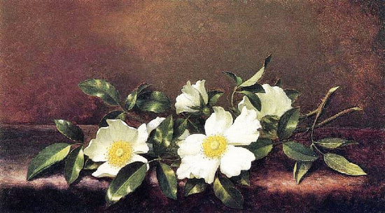 Cherokee Roses On A Purple Cloth by Martin Johnson Heade