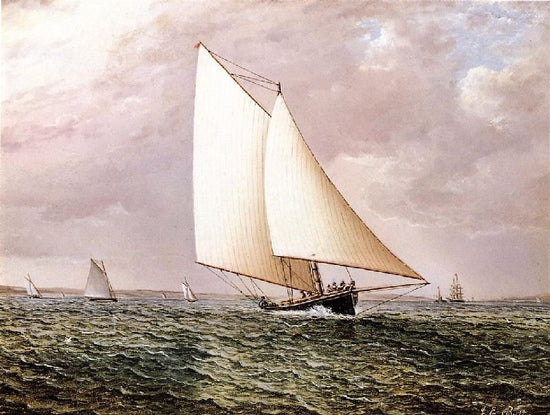 Rival Off Bay Ridge by James E. Buttersworth
