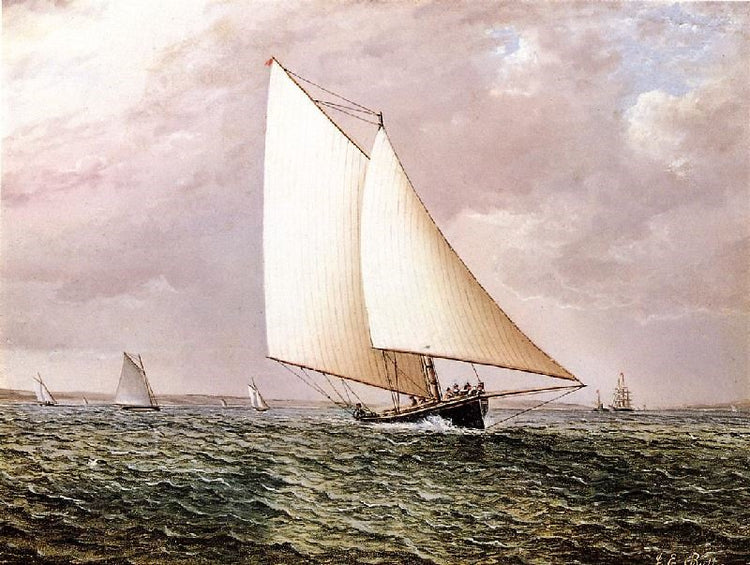 Rival Off Bay Ridge by James E. Buttersworth