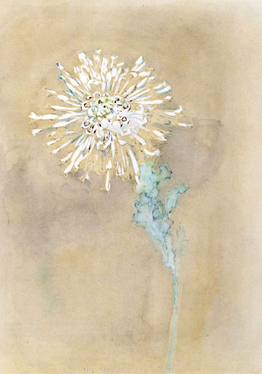 Chrysanthemum by Piet Mondrian