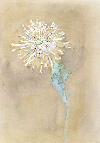 Chrysanthemum by Piet Mondrian