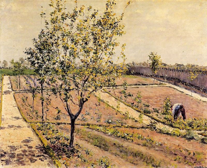 Kitchen Garden, Petit Gennevilliers by Gustave Caillebotte
