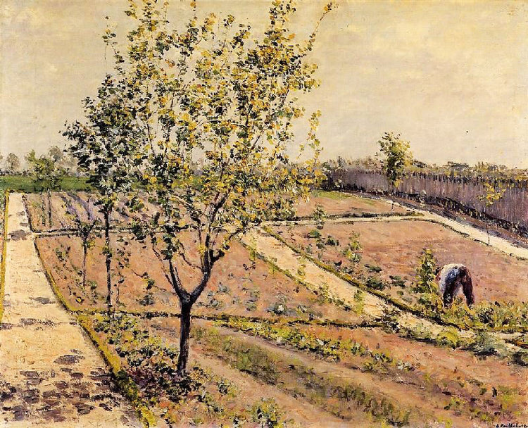 Kitchen Garden, Petit Gennevilliers by Gustave Caillebotte