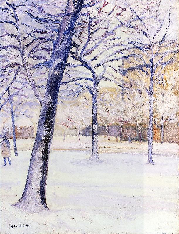 PARK IN THE SNOW, PARIS