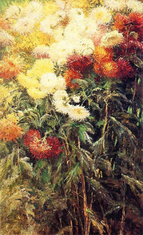 Chrysanthemums, Garden At Petit Gennevilliers by Gustave Caillebotte