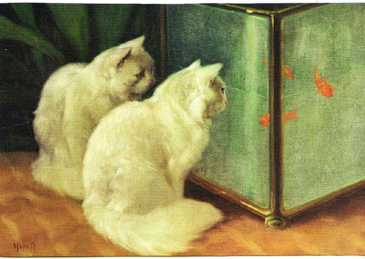 White Cats Watching Goldfish by Arthur Heyer