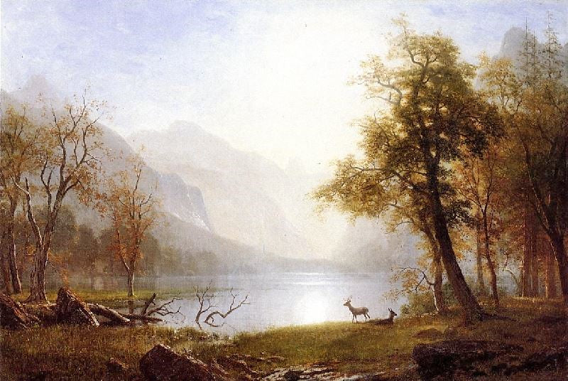 VALLEY IN KINGS CANYON