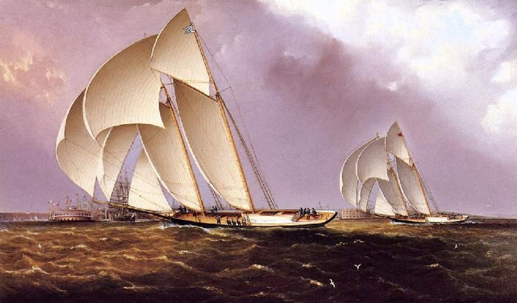 America’S Cup Class Yachts Racing In New York Harbor by James E. Buttersworth