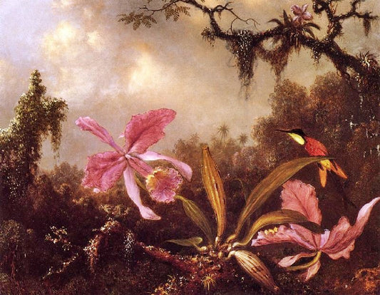 Orchids And Crimson Topaz Hummingbird by Martin Johnson Heade