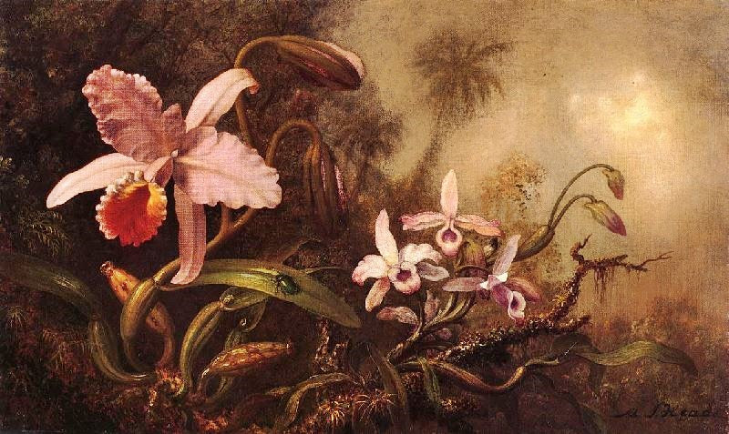 ORCHIDS AND A BEETLE