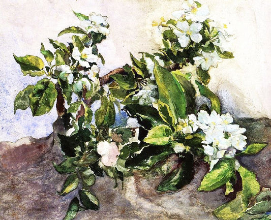 Apple Blossoms, 1883 by John La Farge
