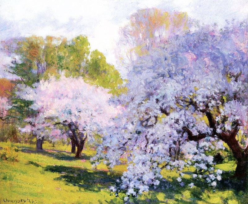 THE ORCHARD