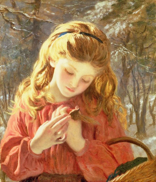 A New Friend by Sophie Anderson