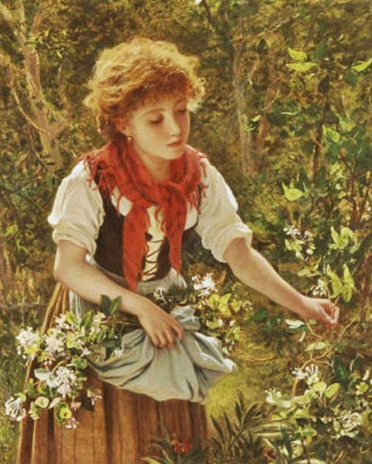 Picking Honeysuckle by Sophie Anderson