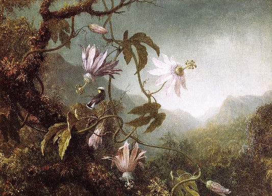 Hummingbird Perched Near Passion Flowers by Martin Johnson Heade