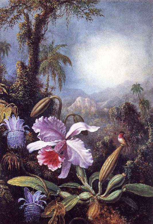 Orchids, Passion Flowers And Hummingbird by Martin Johnson Heade