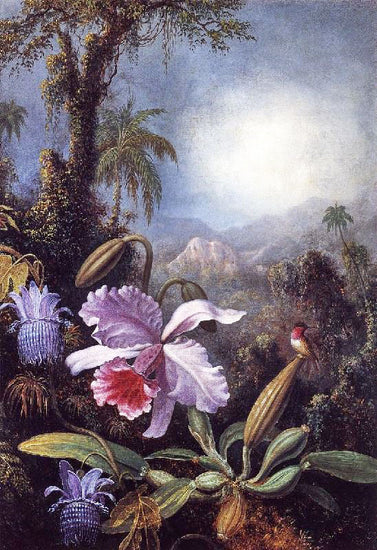 Orchids, Passion Flowers And Hummingbird by Martin Johnson Heade