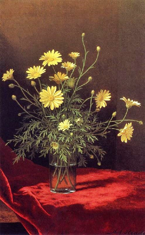 Golden Marguerites by Martin Johnson Heade