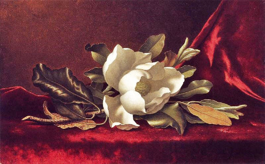 The Magnolia Blossom by Martin Johnson Heade