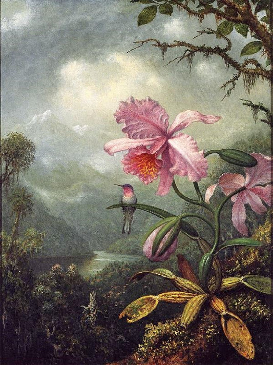 Hummingbird Perched On An Orchid Plant by Martin Johnson Heade