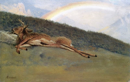 Rainbow Over A Fallen Stag by Albert Bierstadt