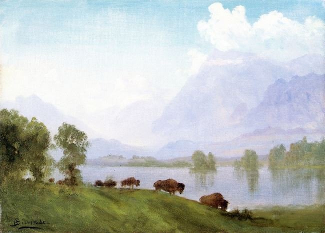 Buffalo Country by Albert Bierstadt