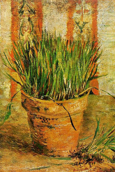 Flowerpot With Chives by Vincent van Gogh