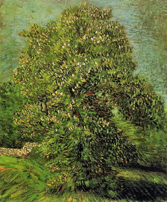 Chestnut Tree In Bloom by Vincent van Gogh