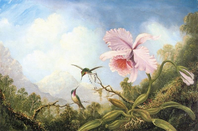 Two Hummingbirds And An Orchid by Martin Johnson Heade
