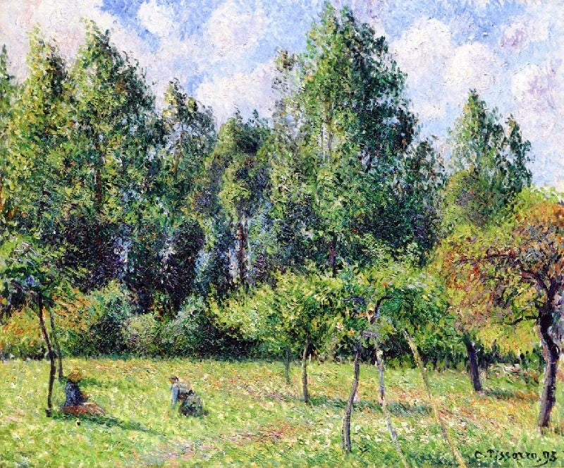 POPLARS, MORNING, ERAGNY