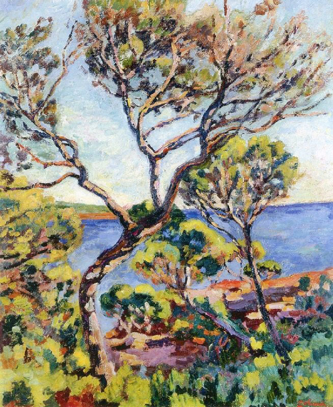 Landscape Of The Midi by Armand Guillaumin