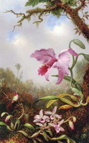 Hummingbird And Two Types Of Orchids by Martin Johnson Heade