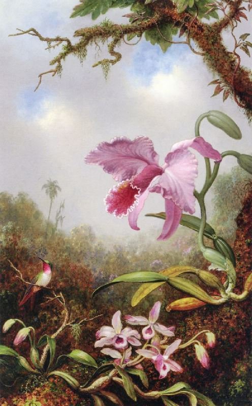Hummingbird And Two Types Of Orchids by Martin Johnson Heade
