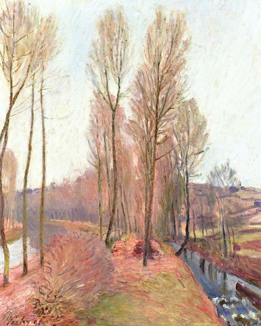 The Orvanne And The Canal Du Loing In Winter by Alfred Sisle