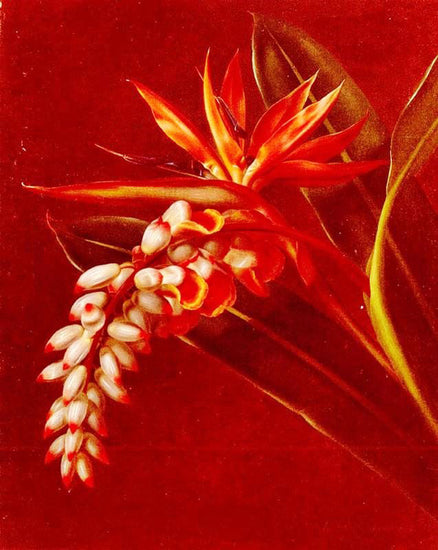 Bird Of Paradise by Johan Laurentz (J.L.) Jensen