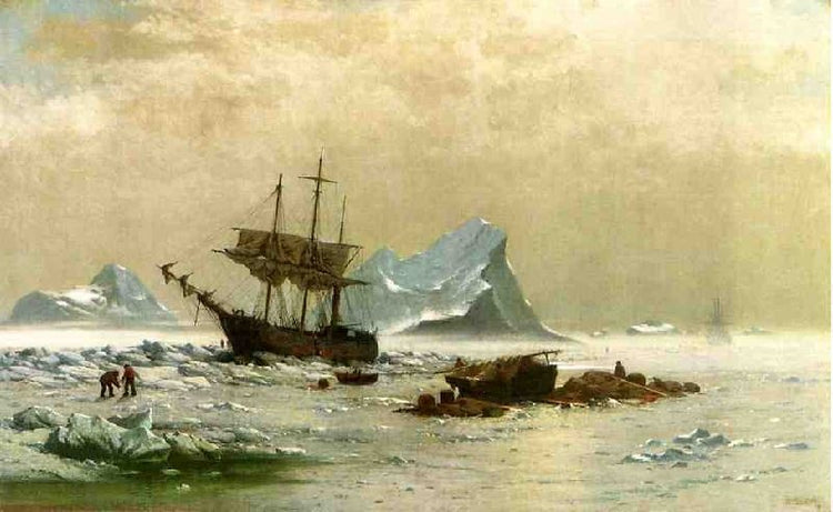 The Ice Floes by William Bradford