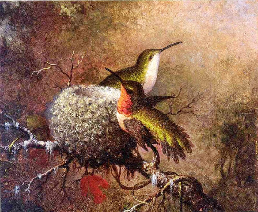 Two Ruby Throats By Their Nest by Martin Johnson Heade