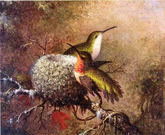 Two Ruby Throats By Their Nest by Martin Johnson Heade